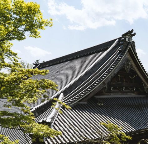 Roof Construction